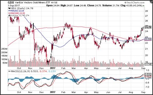 1 Year GDX Chart