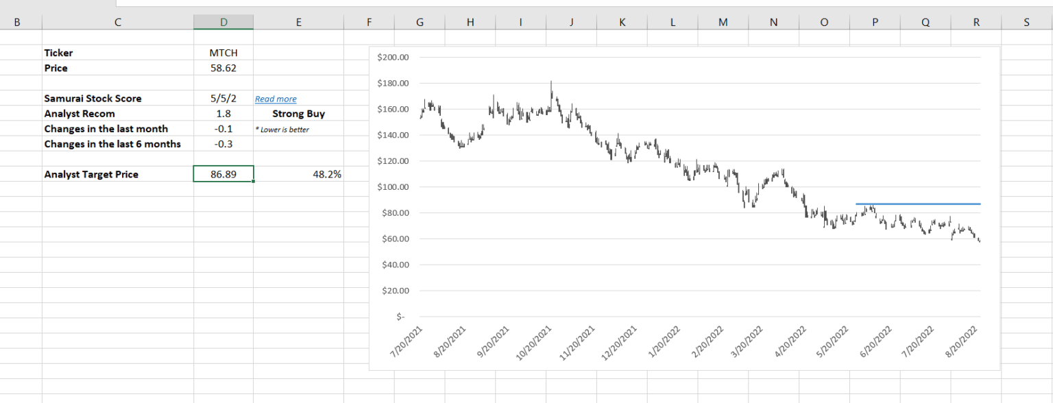 Using the Stock Valuation Excel Template StepbyStep guide Option