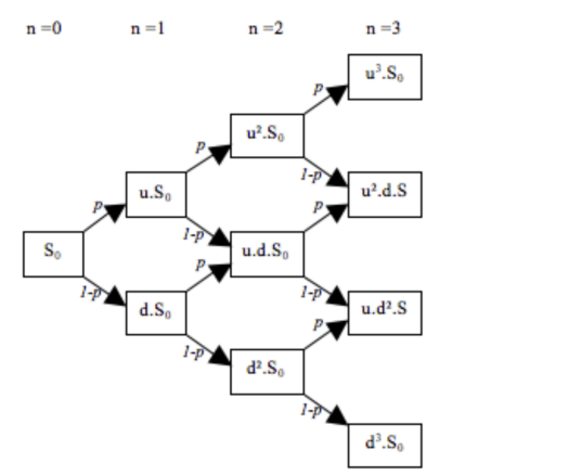 the tree diagram of the binomial model